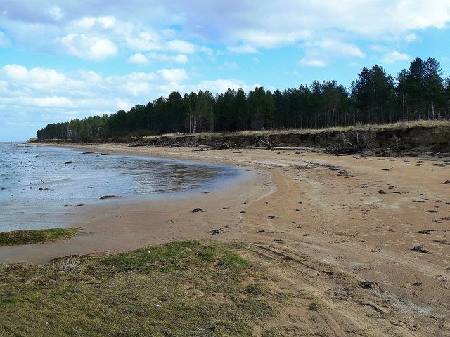 Dornoch Firth Shoreline