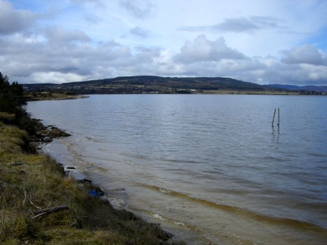 On the shore path, looking towards Tain