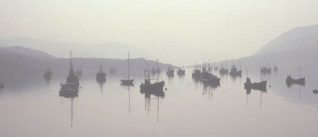 Fishing Fleet in Loch Broom