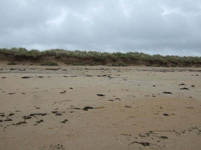 Beach and dunes, Dornoch