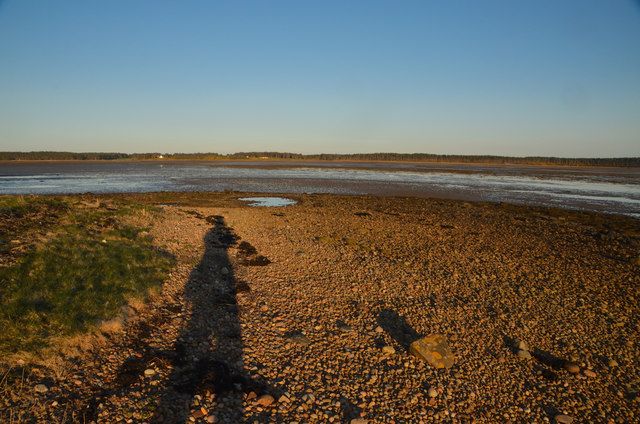 On the Shore of Loch Fleet, Sutherland