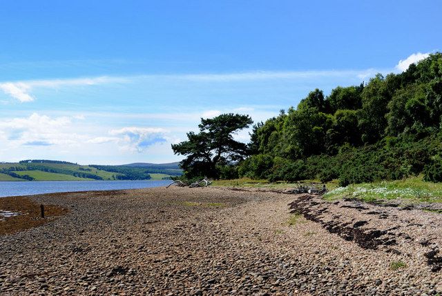 Woods and Beach at Loch Fleet