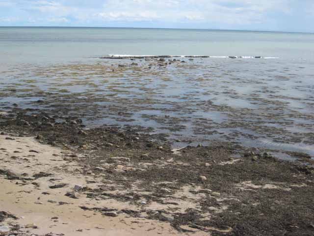 Shoreline at Brora