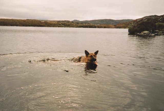 Lochan with no name, with Sasha swimming