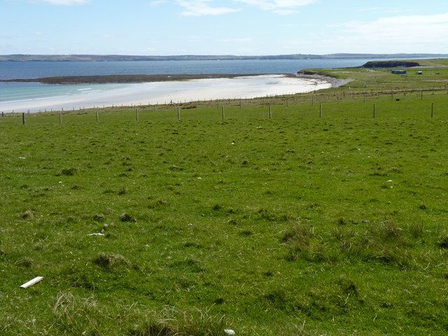 Grass beside the beach