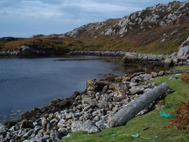 An interesting ‘log’ on the shore of Lochan na Saile.