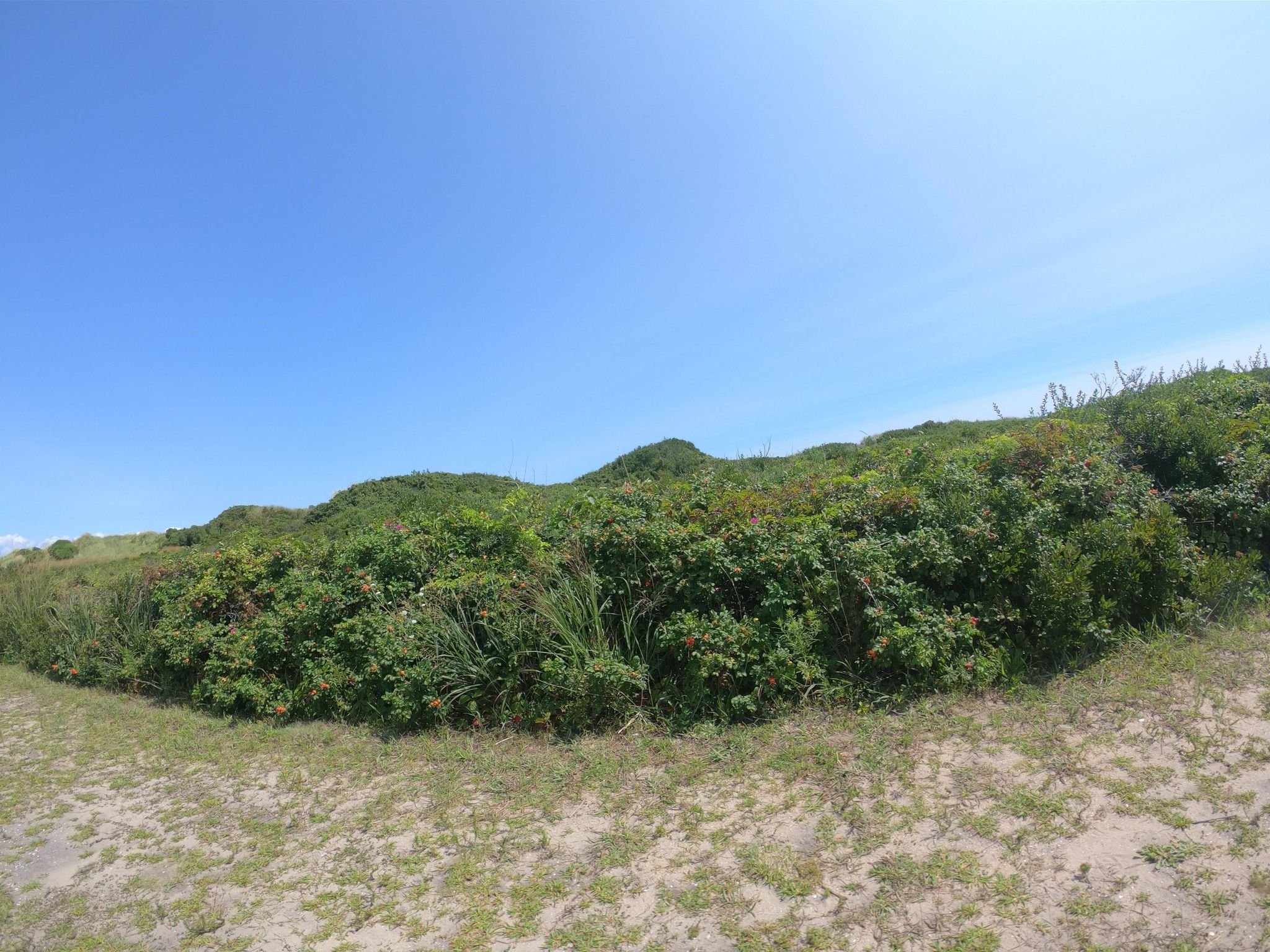 Block Island State Beach
