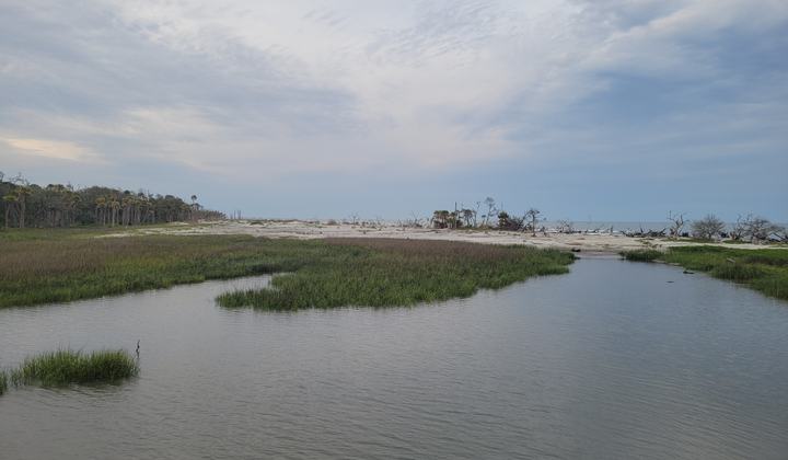 Hunting Island Beach