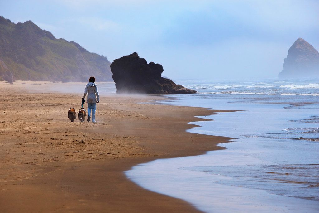 Twin Points Beach