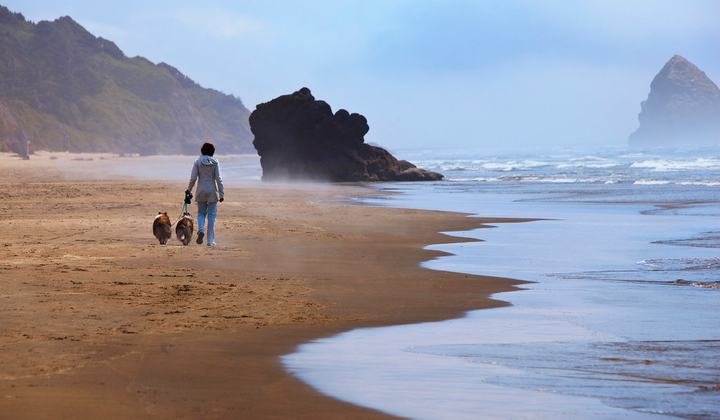 Twin Points Beach