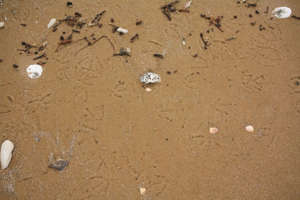 McFaddin Beach
