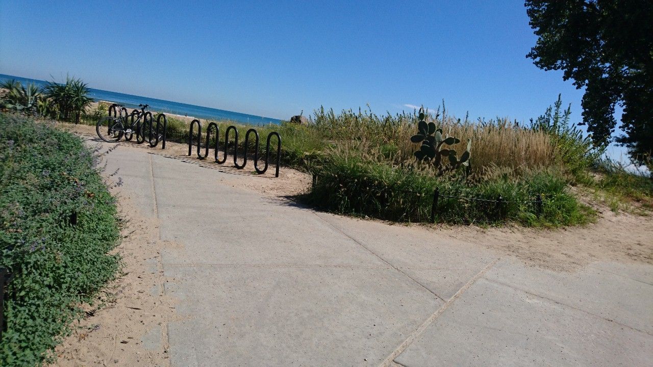 Ardmore Hollywood Beach