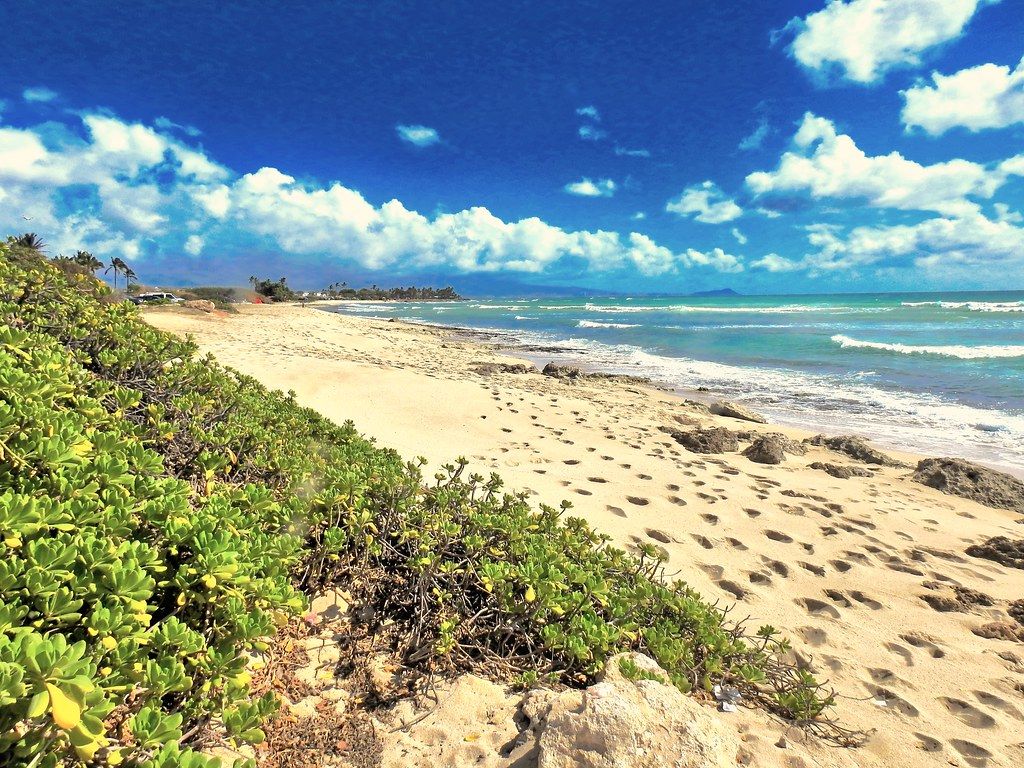 Ulaʻula