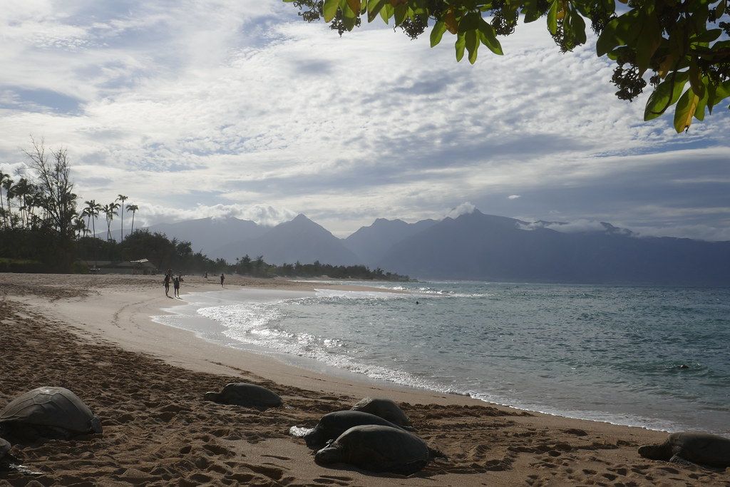 Spreckelsville Beach