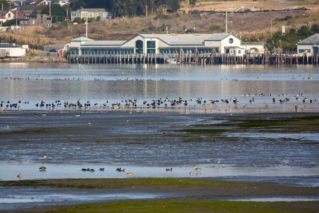 Doran Beach
