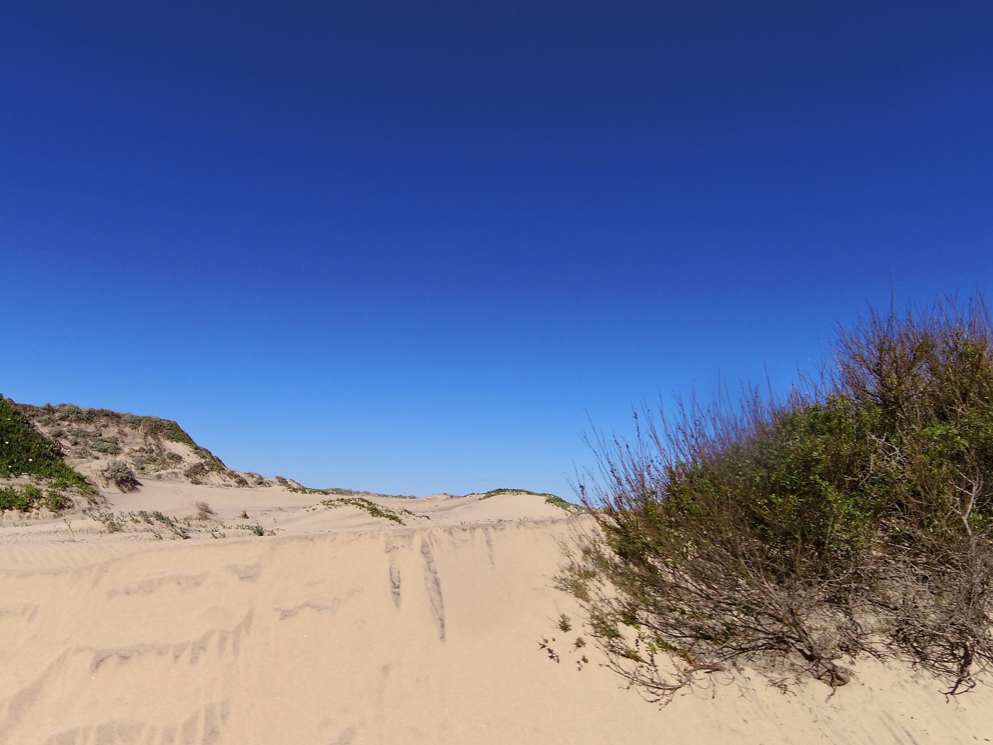 Sand Beach