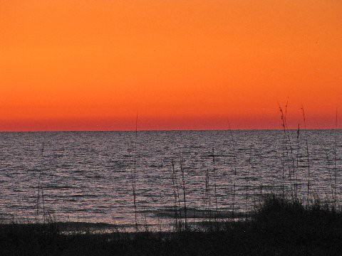 Dunedin Beach