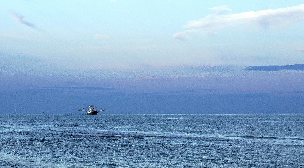 Morgan Beach