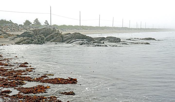 Crescent Beach