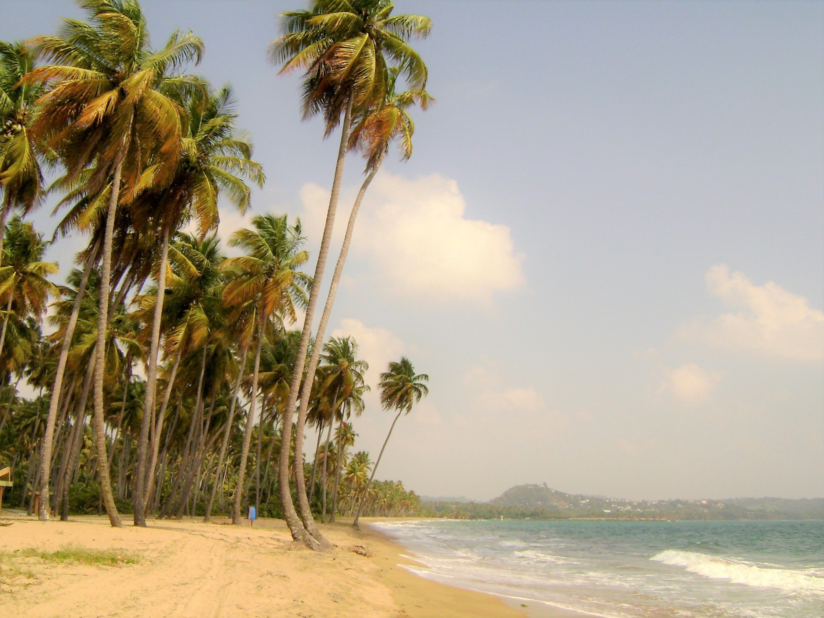 Lucia Beach