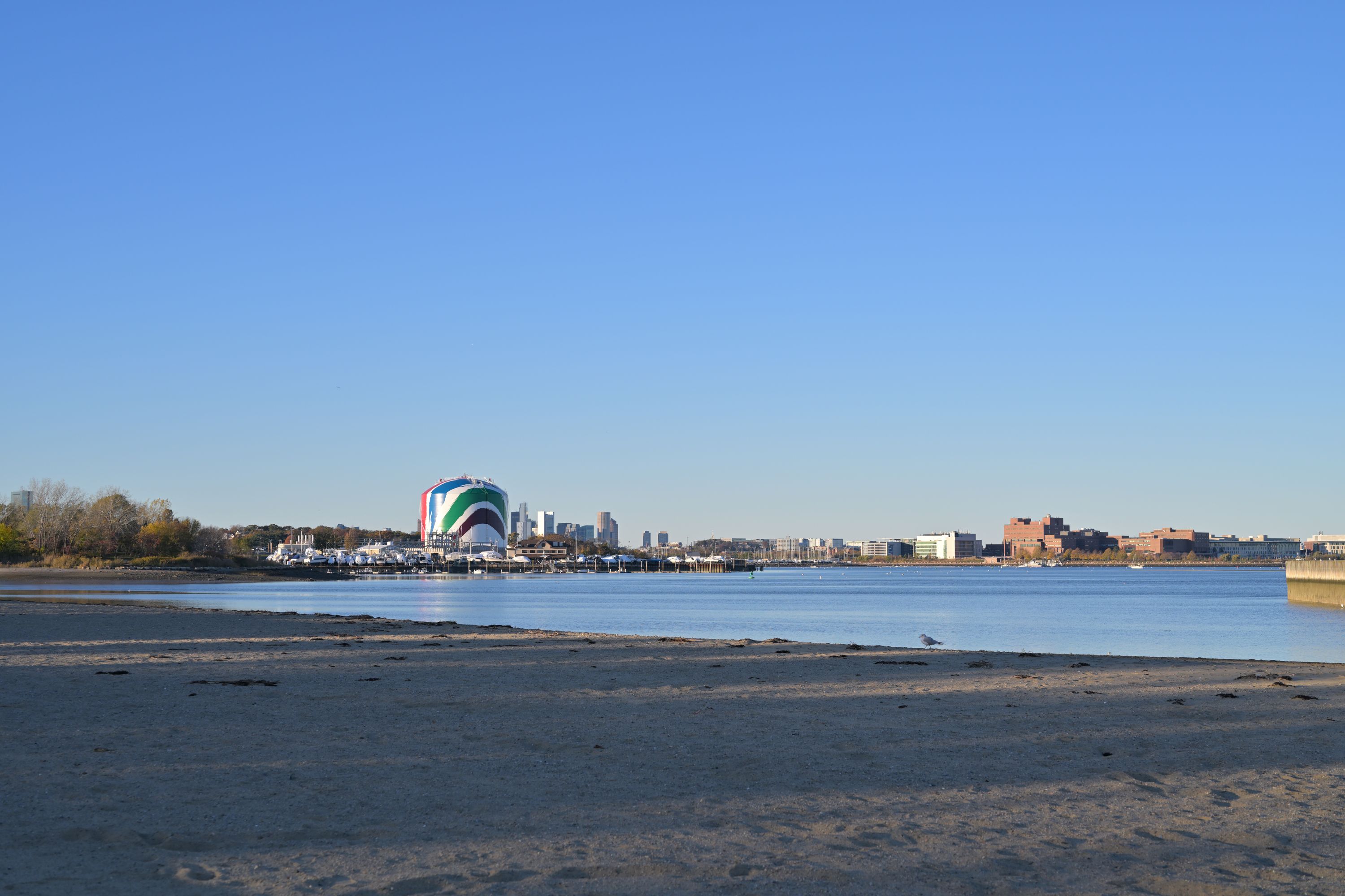 Tenean Beach