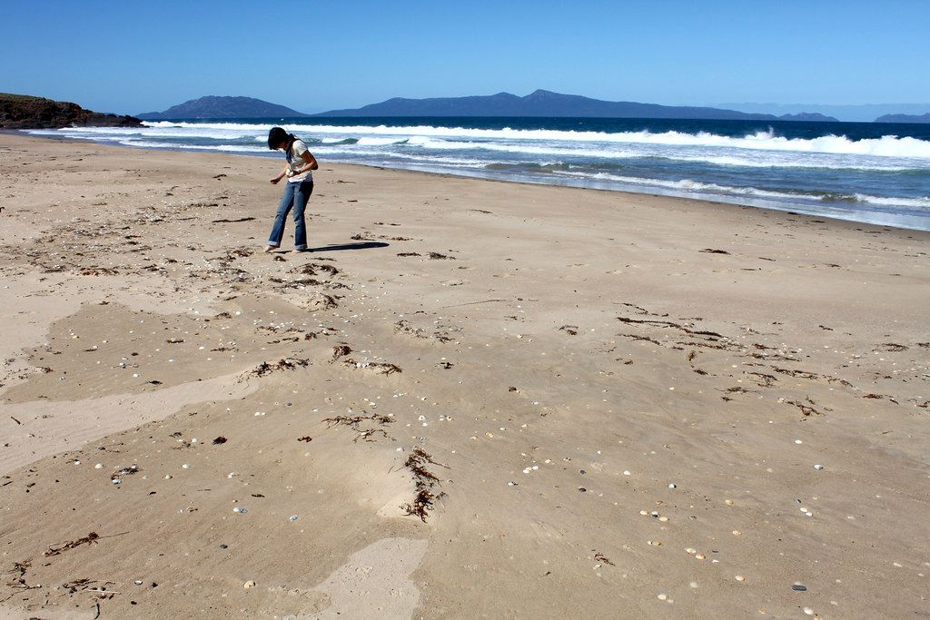 Cressy Beach