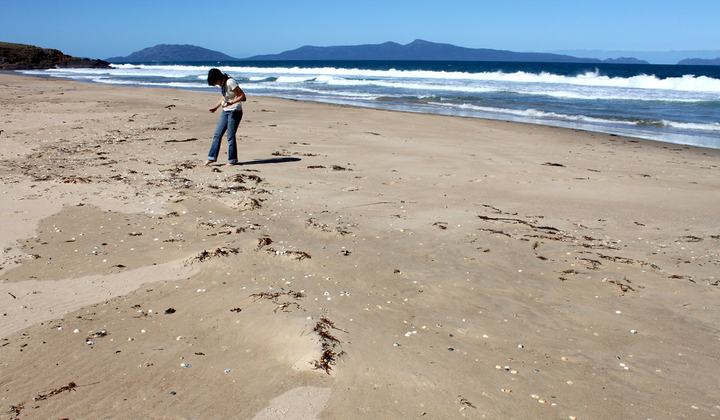 Cressy Beach