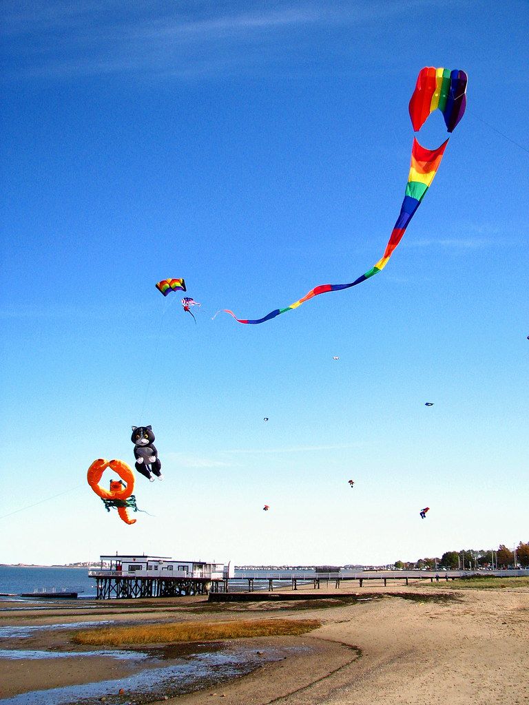 Wollaston Beach
