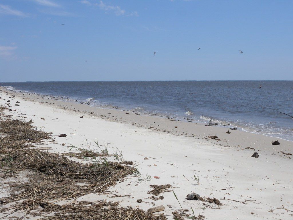 Thompsons Beach