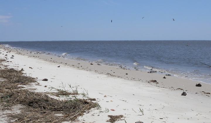 Thompsons Beach