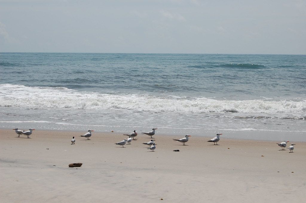 Onslow Beach