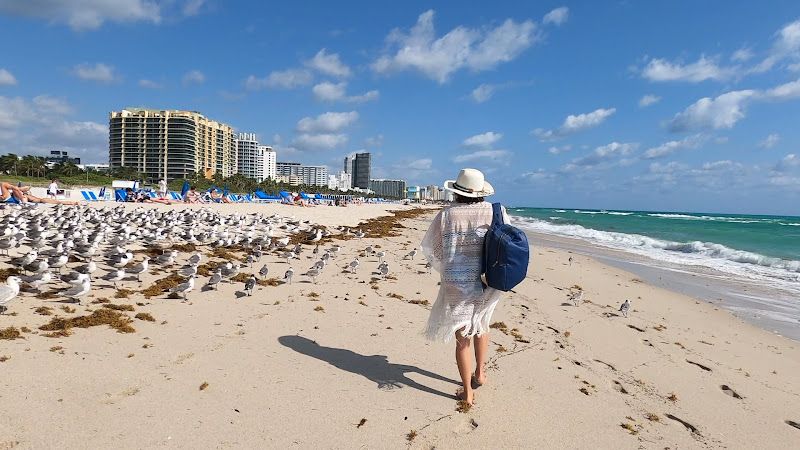 Lunch On South Beach