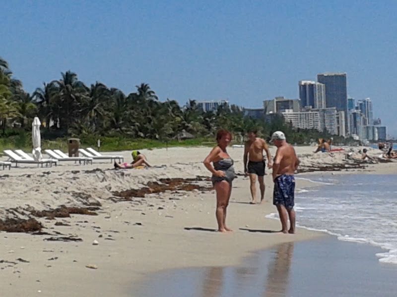 sisal Greynolds Park, North Miami Beach, FL, US