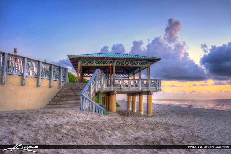 Platydemus Palm Beach County, US-FL, US