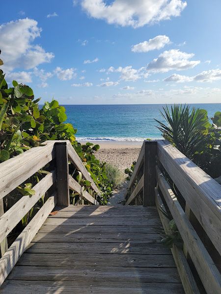 Portuguese Man o' War North Atlantic Ocean, North Palm Beach, FL, US