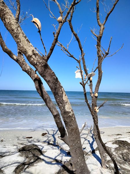 Beach 28.0194 -82.7746