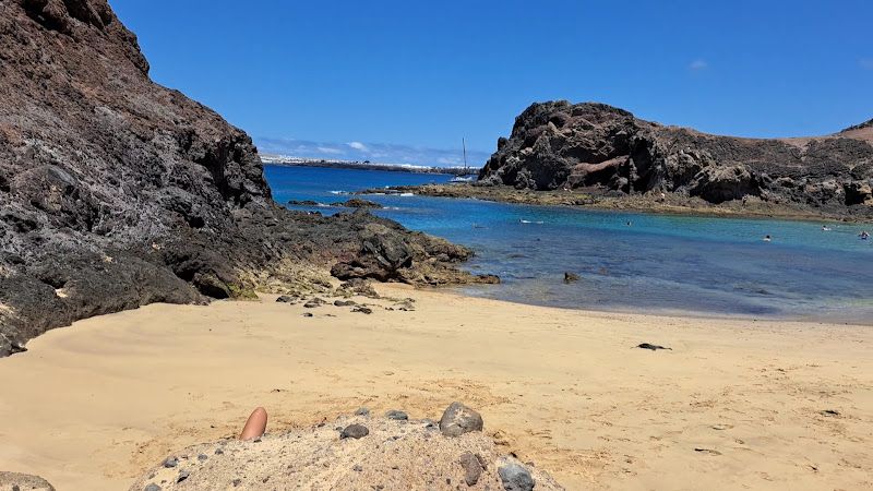 Meldenflureule V655+4V, 35580 Playa Blanca, Provinz Las Palmas, Spanien