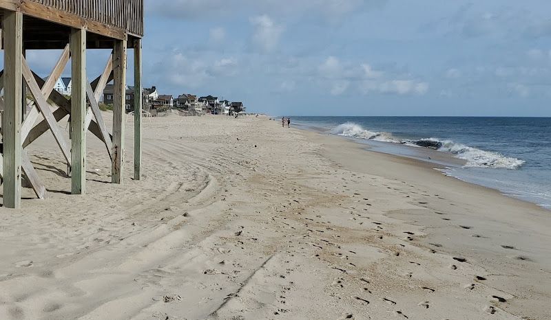 Common Jingle Cape Hatteras National Seashore, Avon, NC, US