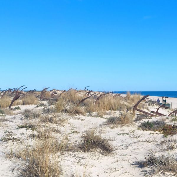 De camino a ilha de Tavira