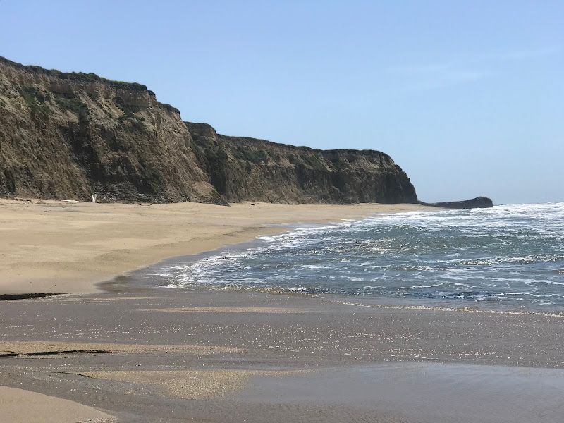 Scott's Creek Beach
