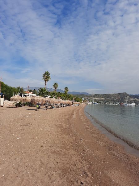 Beach 37.9089 23.0128