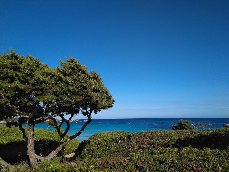 Son Xoriguer, Menorca