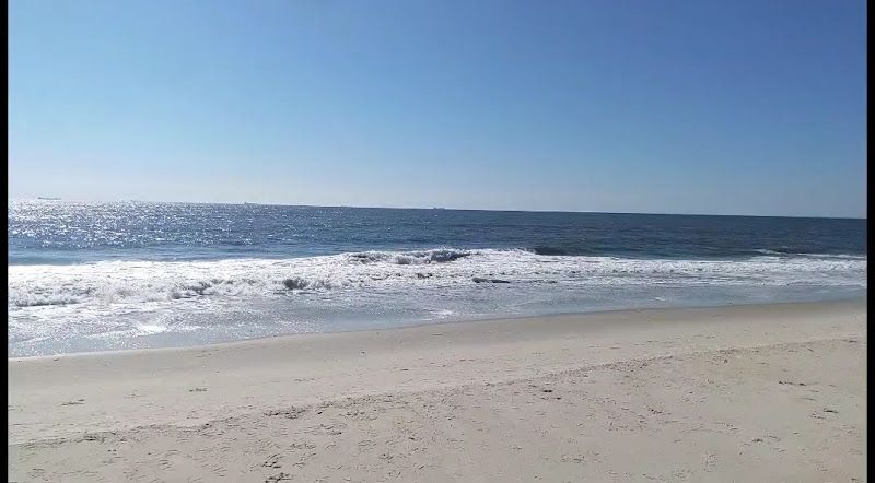 Lido Beach Cleanup-3