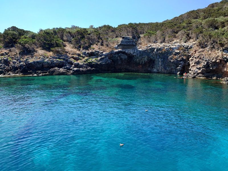 Geco casero del Mediterráneo Base Elisoccorso 118, Isola di Giannutri, 58019 Cala Spalmatoio GR, Italia
