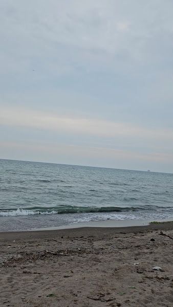 Rollerblading at Hamilton Beach