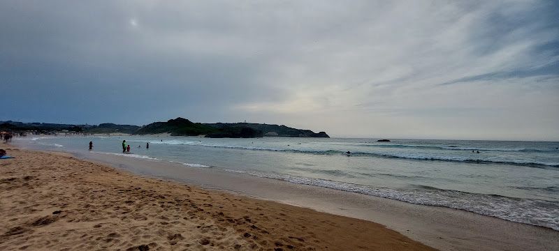 Beach 43.4922 -3.5420