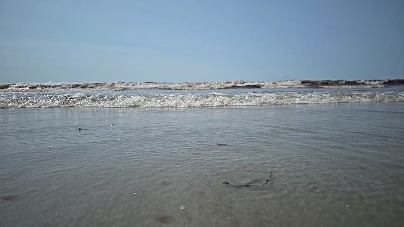 A Day at the Beach with Kids