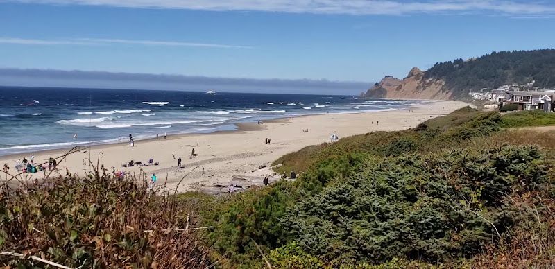 Cascade Head Beach Sea Anemones