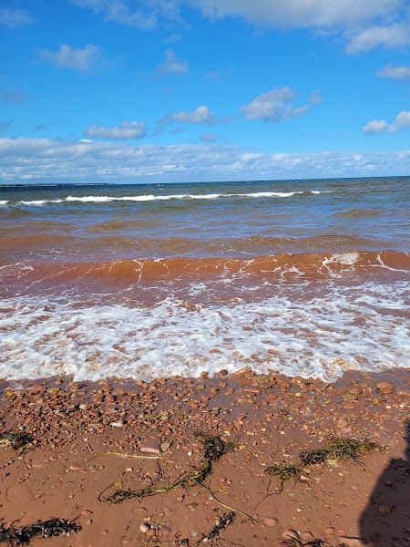 Beach Point Coast, Prince Edward Island (471031)