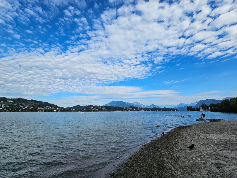 Beach 47.0521 8.3061